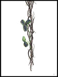 Poster: Blommande lianer, av Ida Maria