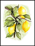 Poster: Citroner, av Annas Design & Illustration