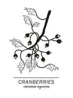 Poster: Cranberries, av Paperago