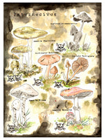 Poster: Dödliga svampar, av Ateljé Enström