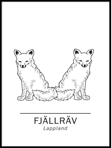 Poster: Fjällräv lapplands landskapsdjur, av Paperago