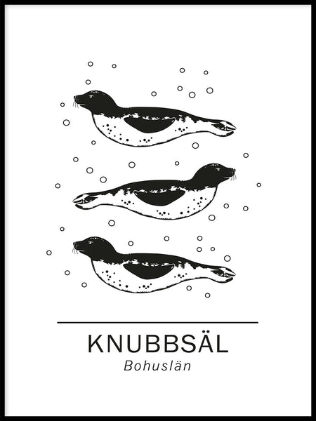 Poster: Knubbsäl bohusläns landskapsdjur, av Paperago