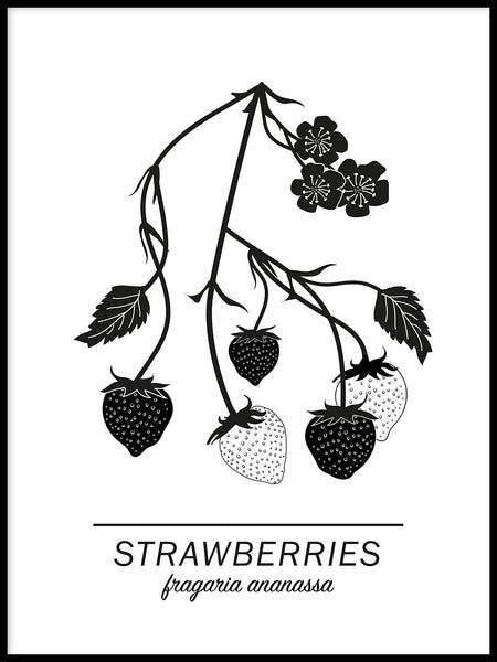 Poster: Strawberries, av Paperago