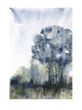 Poster: Tale of trees 2, av Helena Ryhle
