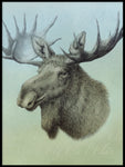 Poster: Älg, Moose, Elch, av Lena Svalfors Hedin
