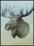 Poster: Älg, Moose, Elch, av Lena Svalfors Hedin