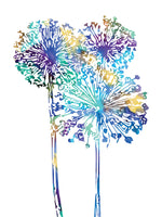 Poster: Allium Blue, av GaboDesign