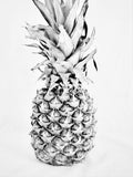 Poster: Ananas art, av Utgångna produkter
