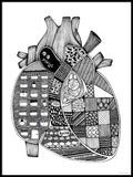Poster: Anatomiskt hjärta, av Tovelisa