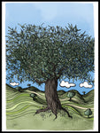 Poster: Andalusien: Olivträd, av Utgångna produkter
