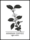 Poster: Arabian Coffee, av Paperago