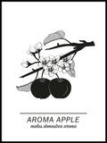 Poster: Aroma Apple, av Paperago