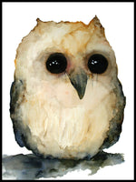 Poster: Baby Owl, av Sofie Rolfsdotter