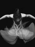 Poster: Ballet Wind, av Utgångna produkter