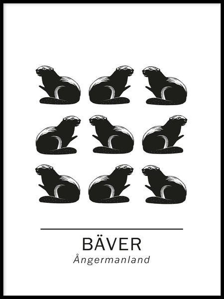 Poster: Bäver ångermanlands landskapsdjur, av Paperago