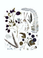 Poster: Berries and leaves, av Utgångna produkter