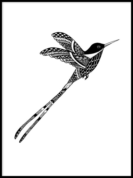 Poster: Birdy, av Utgångna produkter