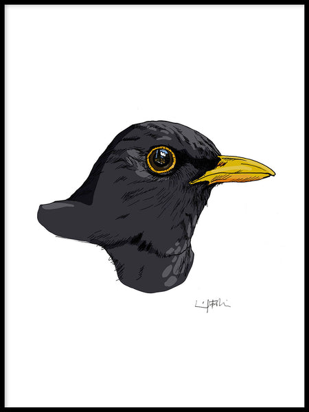 Poster: Blackbird, av Utgångna produkter