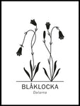 Poster: Blåklocka, Dalarnas landskapsblomma, av Paperago