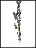 Poster: Blommande lianer, av Ida Maria