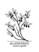 Poster: Blueberries, av Paperago