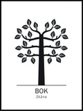 Poster: Bok, Skånes landskapsblomma, av Paperago
