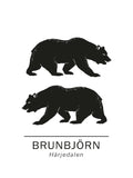 Poster: Brunbjörn härjedalens landskapsdjur, av Paperago