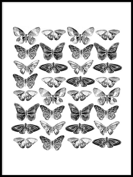 Poster: Butterflies, av Sofie Rolfsdotter