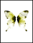 Poster: Butterfly, av Lotta Larsdotter