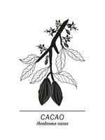 Poster: Cacao, av Paperago