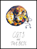 Poster: Cats are the best, av Utgångna produkter