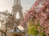 Poster: Cherry Blossom at Eiffel II, av Magdalena Martin Photography