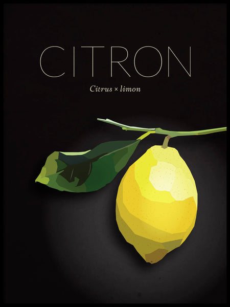 Poster: Citron, av Lisa Hult Sandgren