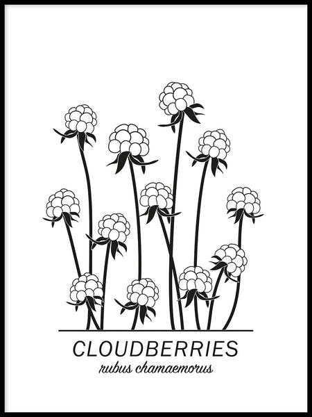 Poster: Cloudberries, av Paperago