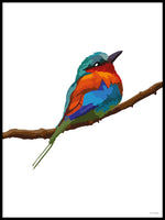 Poster: Colorful Birds #31, av PIEL Design