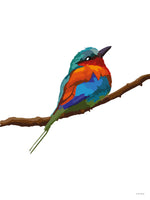 Poster: Colorful Birds #31, av PIEL Design