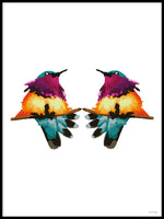 Poster: Colorful Birds #32, av PIEL Design