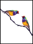 Poster: Colorful Birds #1, av PIEL Design