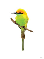Poster: Colorful Birds #11, av PIEL Design