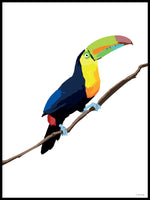 Poster: Colorful Birds #21, av PIEL Design