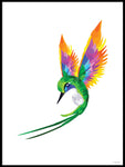 Poster: Colorful Birds #30, av PIEL Design