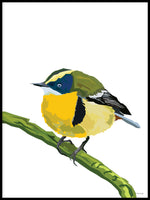 Poster: Colorful Birds #52, av PIEL Design