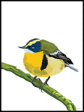Poster: Colorful Birds #52, av PIEL Design