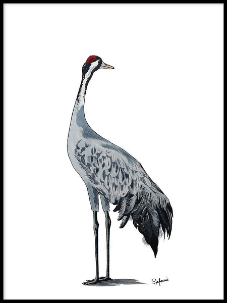 Poster: Common Crane, av Stefanie Jegerings