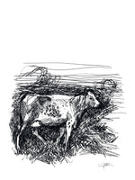Poster: Cow, av Utgångna produkter