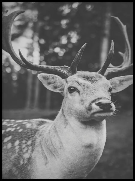 Poster: Deer, av Anna Mendivil / Gypsysoul