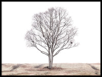 Poster: Det ensamma trädet, av EMELIEmaria