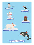 Poster: Djur i Arktis, av Utgångna produkter
