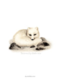 Poster: Dream Big little one (Arctic fox), av Ekkoform illustrations