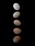 Poster: Egg shades, av EMELIEmaria